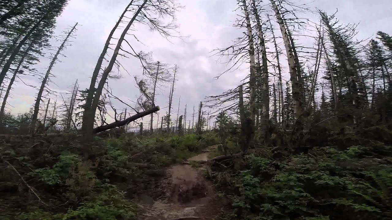 Polica 1369 m n.p.m.  - Beskid Żywiecki