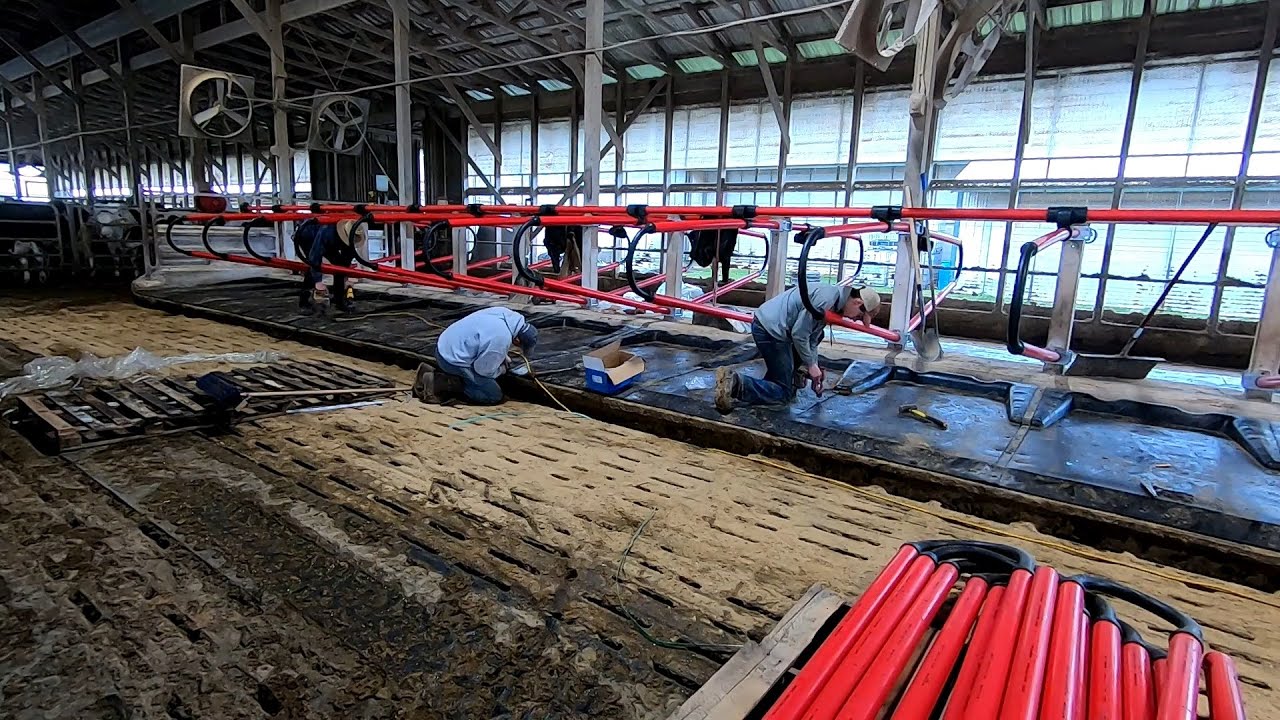 Installing EASYFIX Flex Stalls & Mattresses