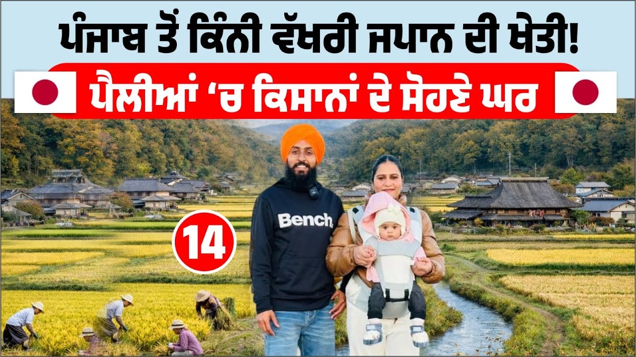 ਪੰਜਾਬ ਤੋਂ ਕਿੰਨੀ ਵੱਖਰੀ ਜਪਾਨ ਦੀ ਖੇਤੀ! Japan Village life & Farming | Amrik Manpreet | Walk With Turna