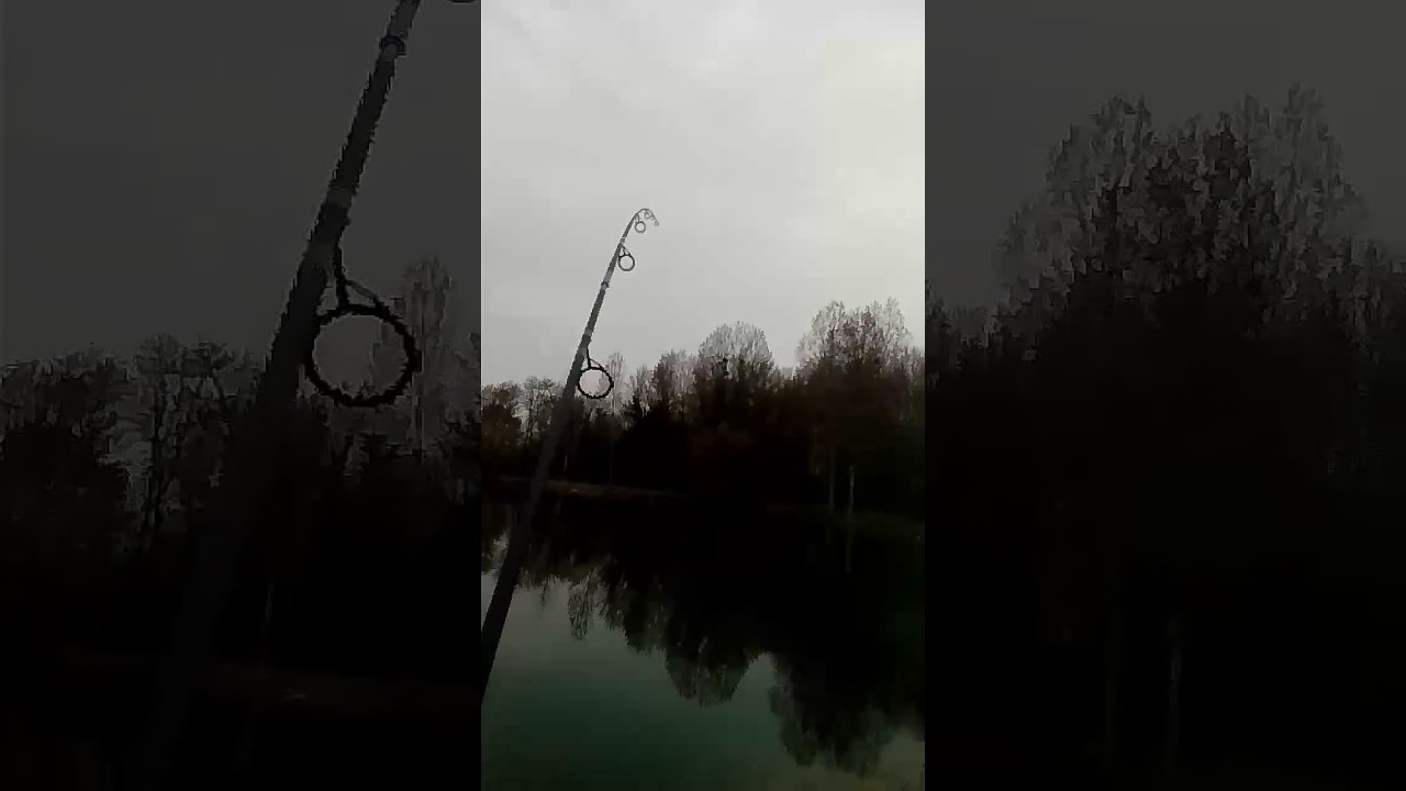 Depart en direct delkim