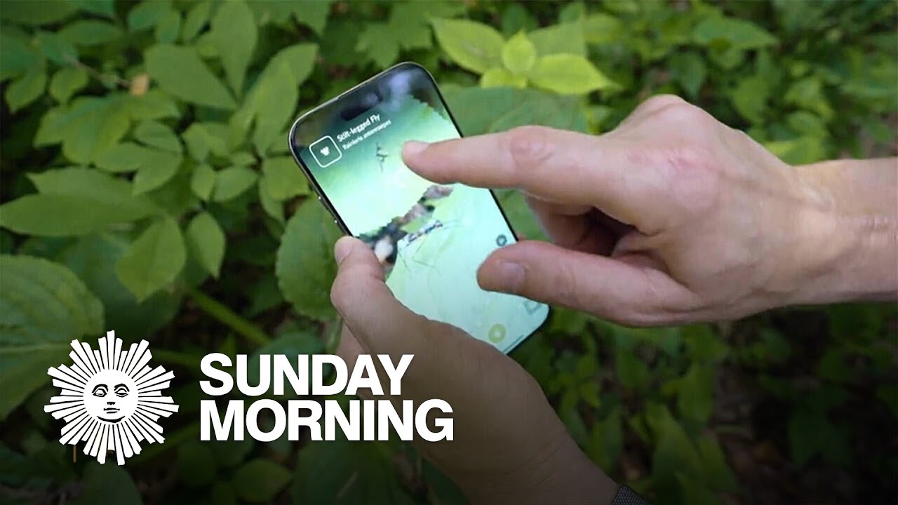 How a fun nature app aids science