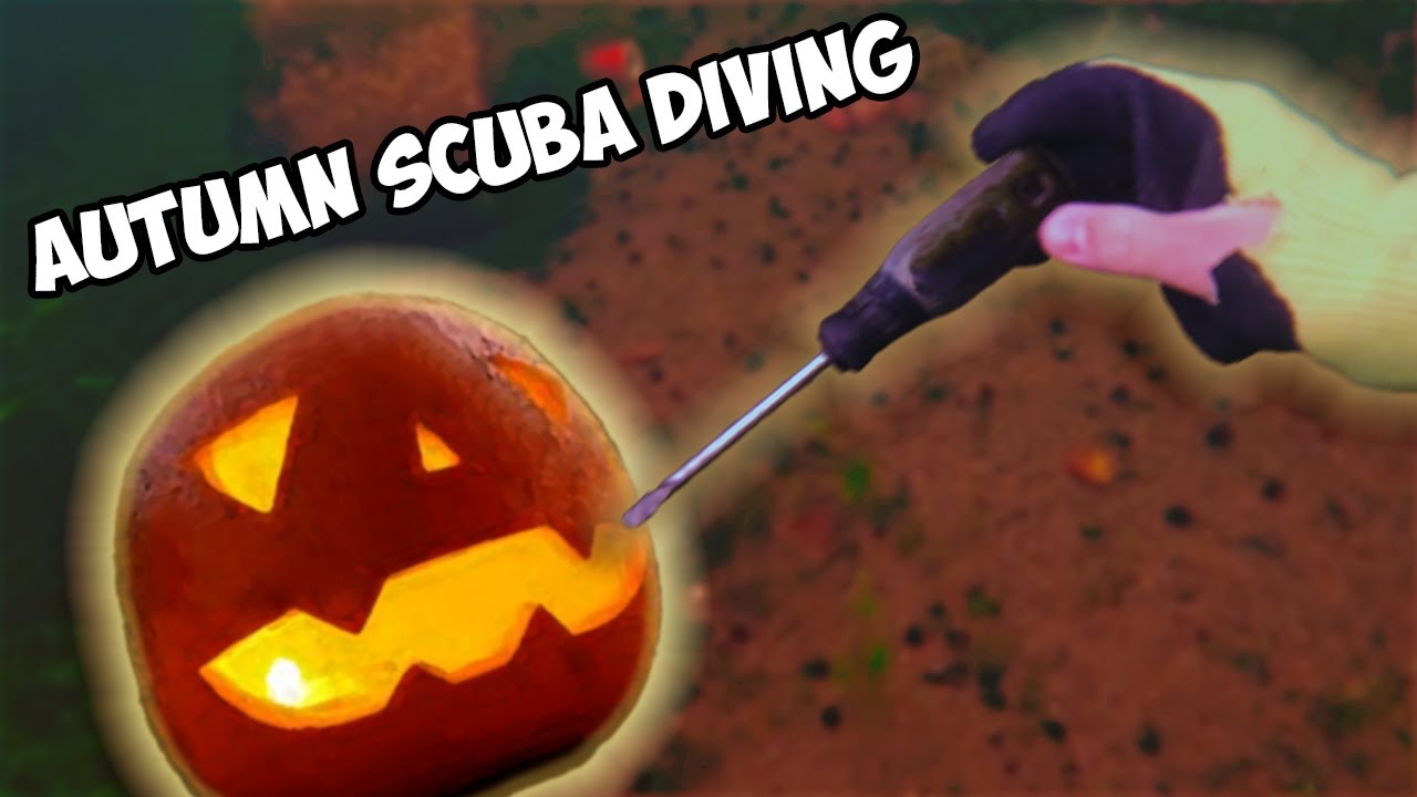 What I found Diving in OCTOBER?!