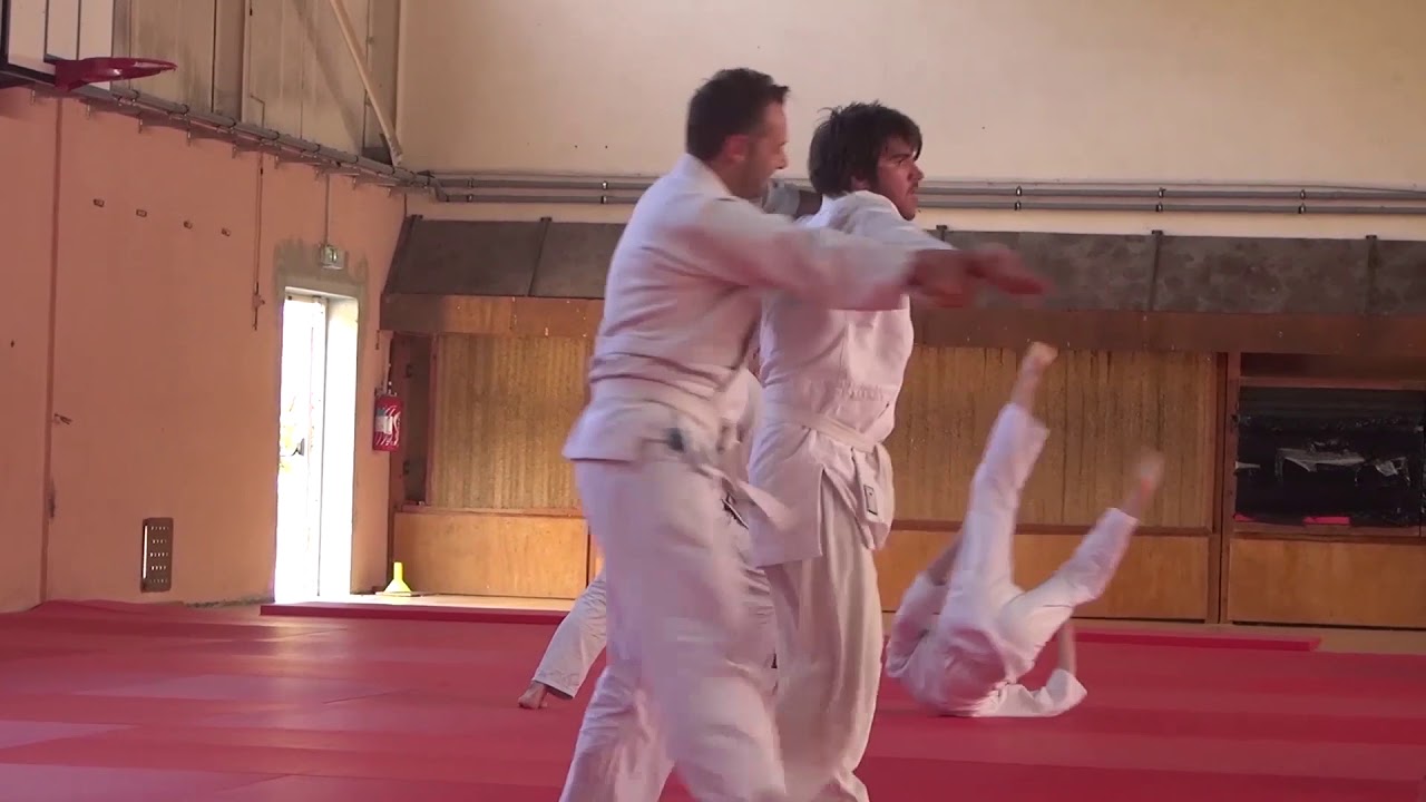 Stage été Shoyukan Aïkido 2019 -  Passage Shodan (1er Dan)