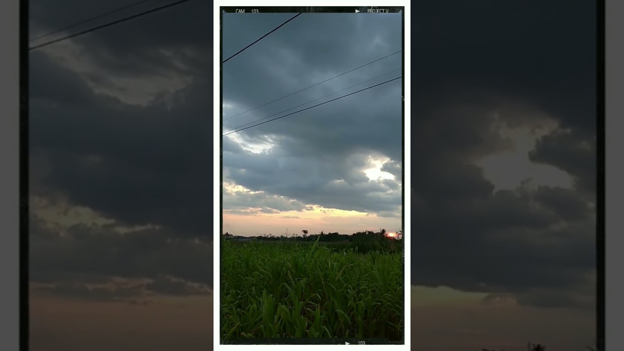 sunset jember✨