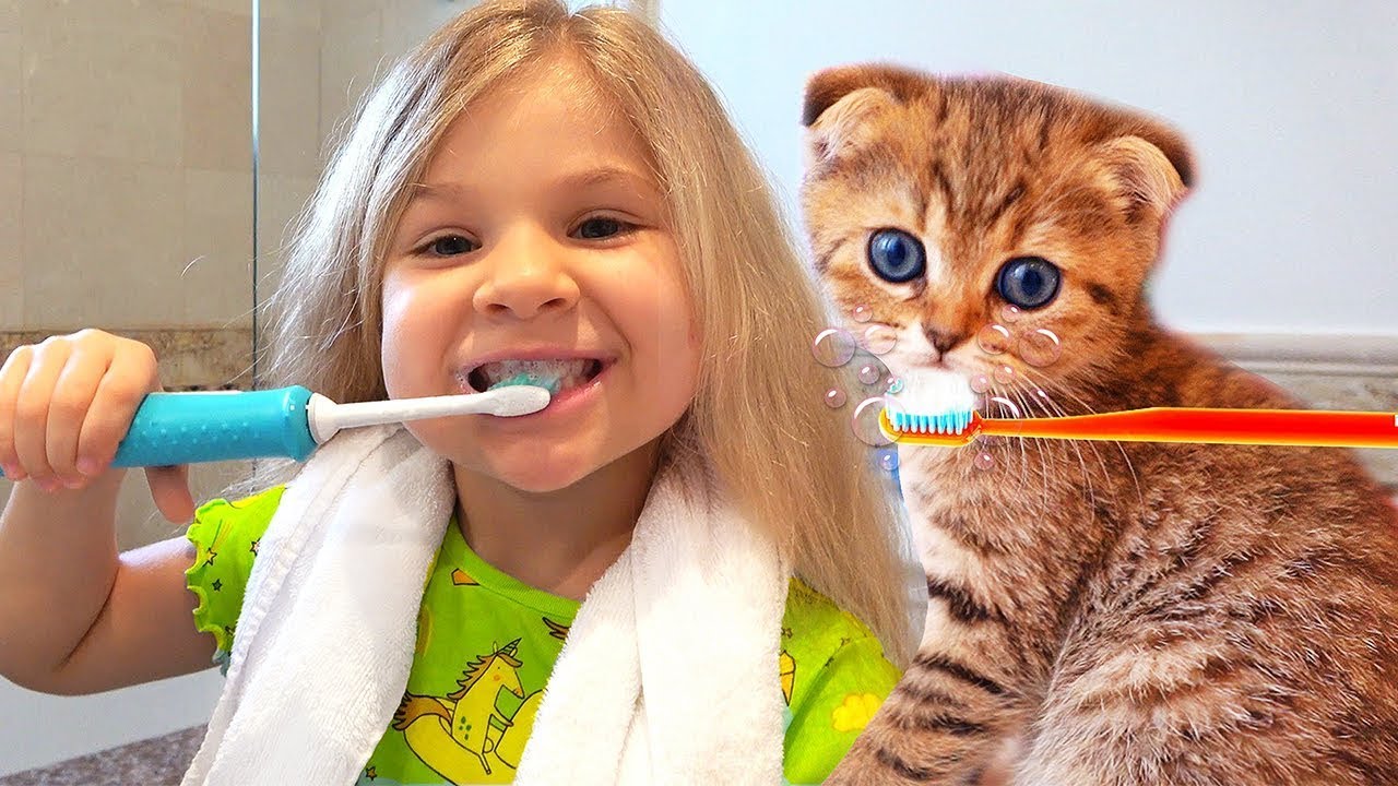 Diana e sua Rotina Matinal de Quarentena com a Gatinha