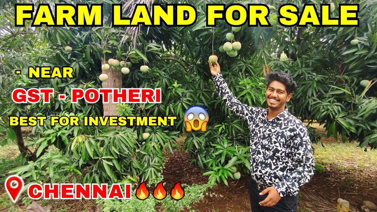 Low Budget💥😍 Farm Land for sale in Chennai - Potheri | Best Land For Sale💥🥳 Near SRM & GST Road📍