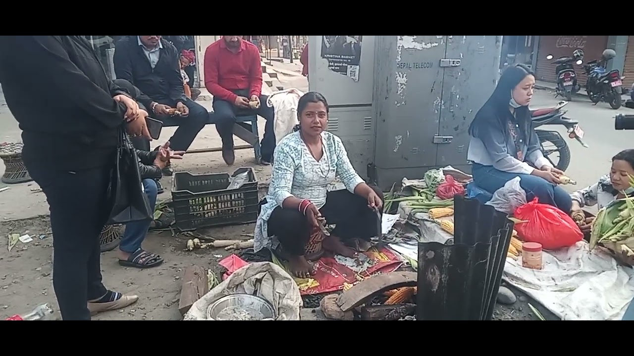 Damak chock makai khanako veed Damak News