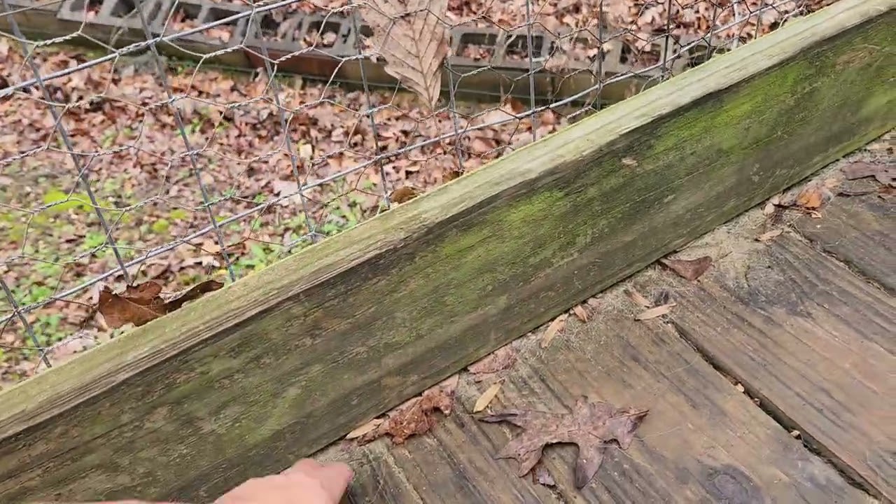 Не делайте этого со своими террасами и дорожками!