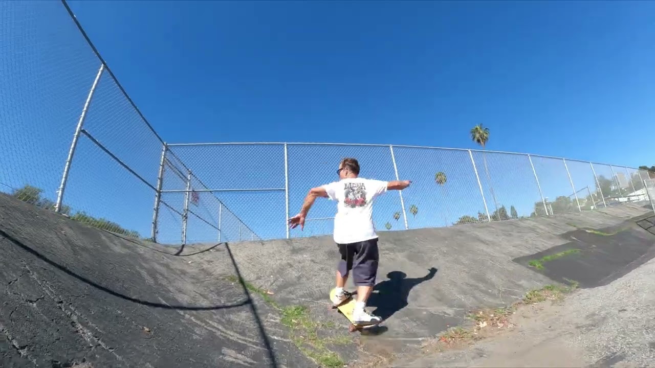 Return to Dogtown