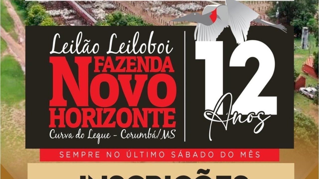 148° LEILÃO LEILOBOI FAZENDA NOVO HORIZONTE - CORUMBÁ/MS - RURAL PLAY