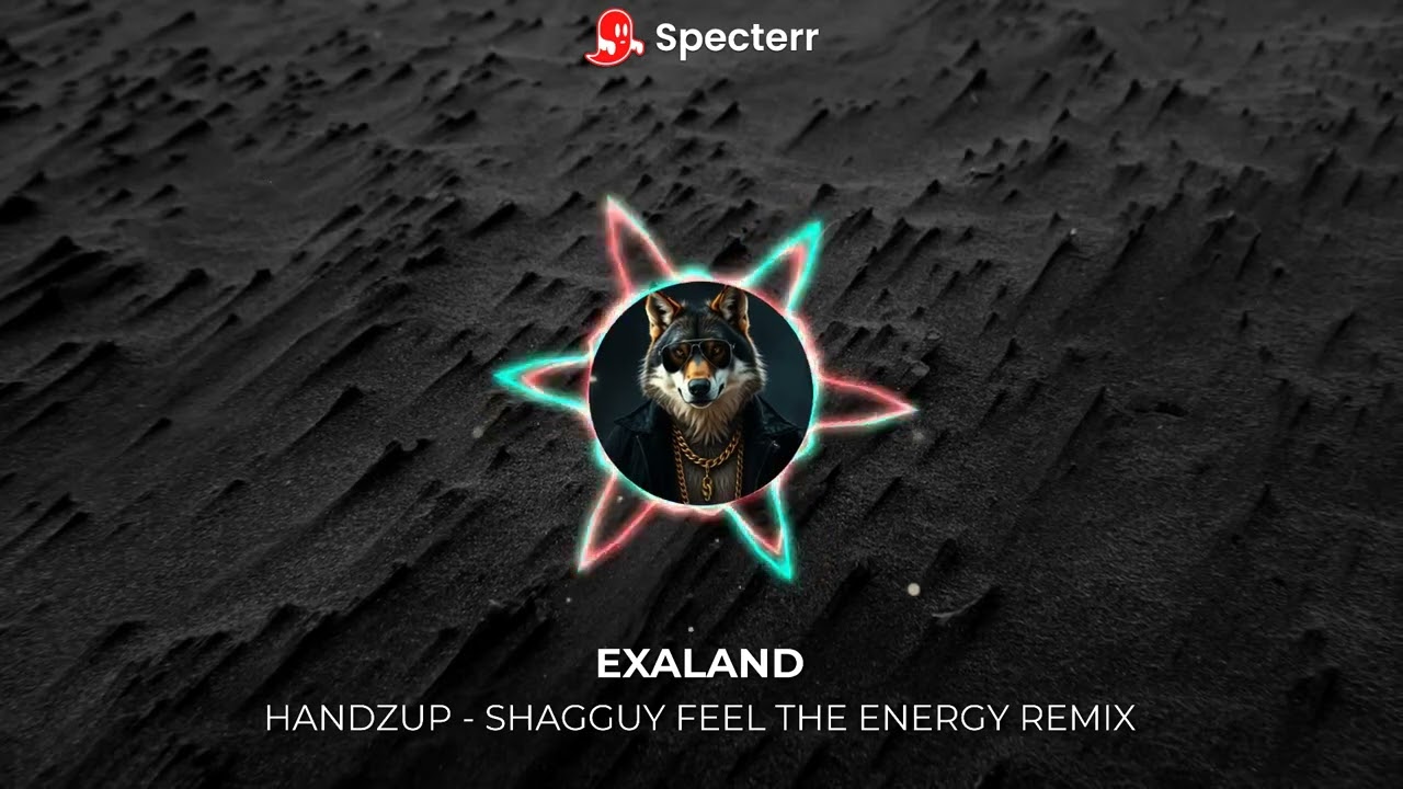 HandzUp shaggy #feeltheenergy #remix