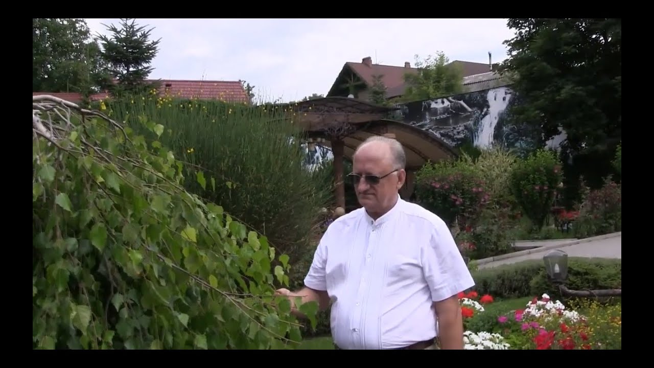 Dumitru Crețu - Sinceritate