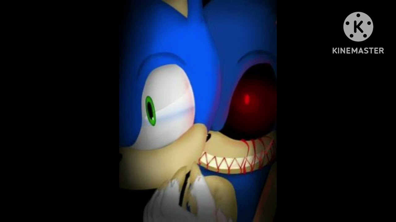Sonic.exe Follow Me|TryHardNinja