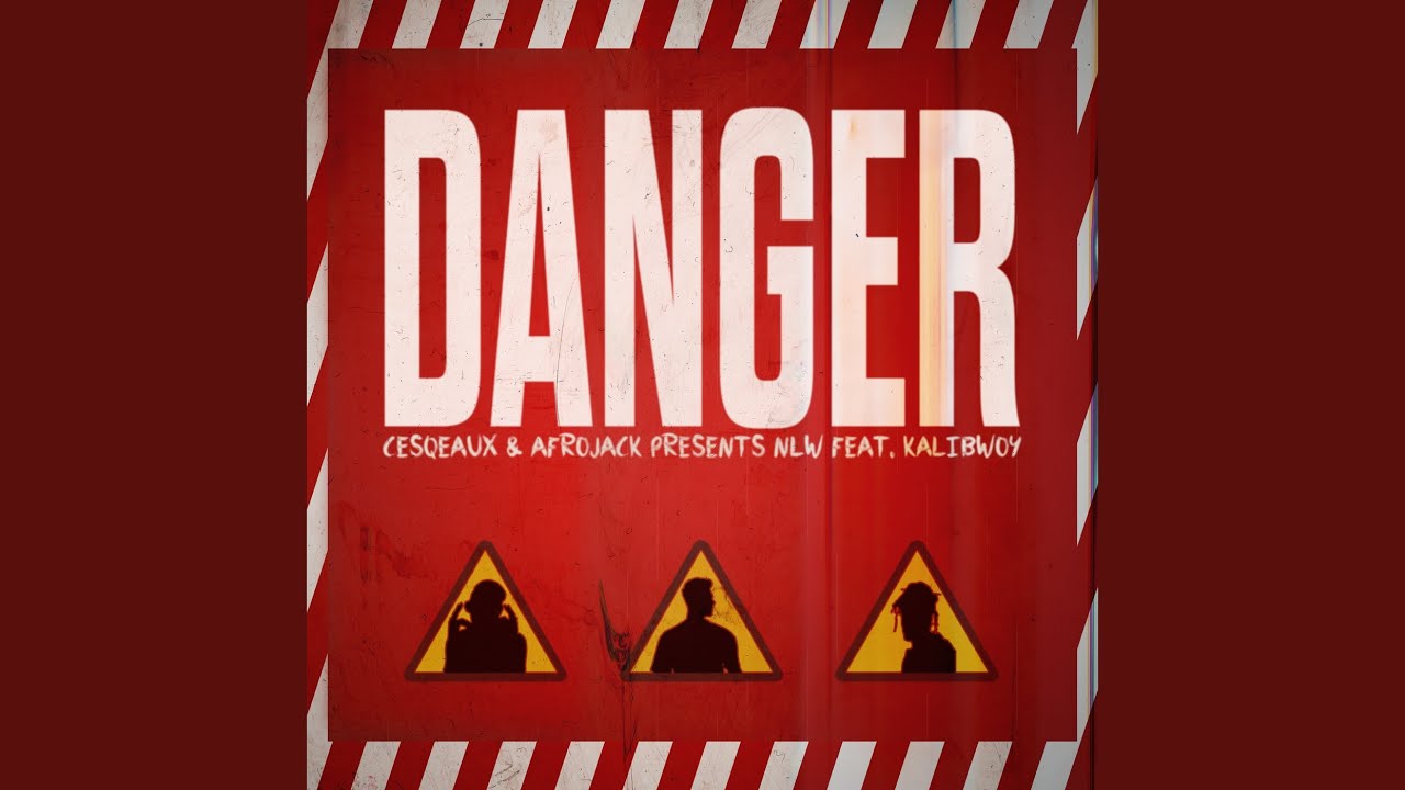Danger (AFROJACK Presents NLW)