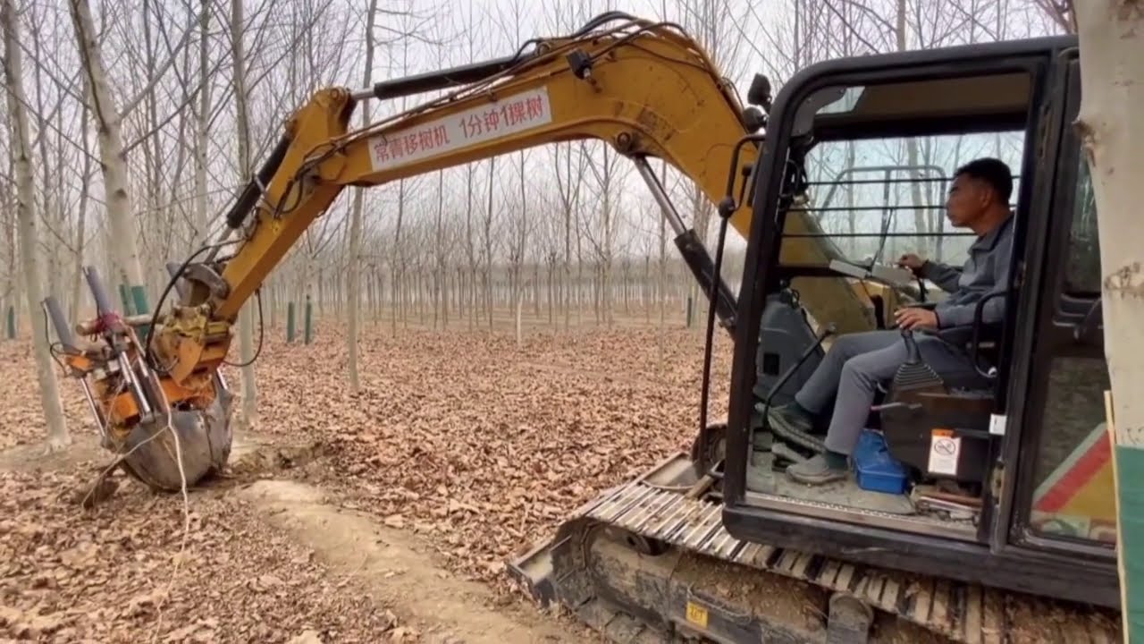 tree transplanter log transplanting machine