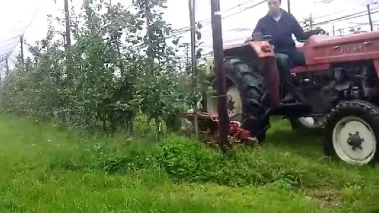 Ladurner Fadenmulcher für Bio-Obstbau