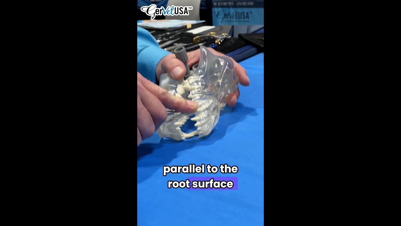 🦷 Precision Matters in Veterinary Dentistry!