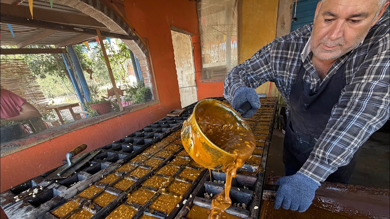 Molienda de caña para hacer piloncillo - miel panocha con cacahuate en Guadalupe de Ures Sonora
