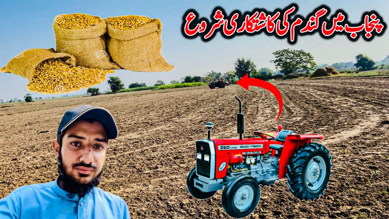 پنجاب میں گندم کی کاشتکاری شروع ہوگئیWheat cultivation has begun in Punjab