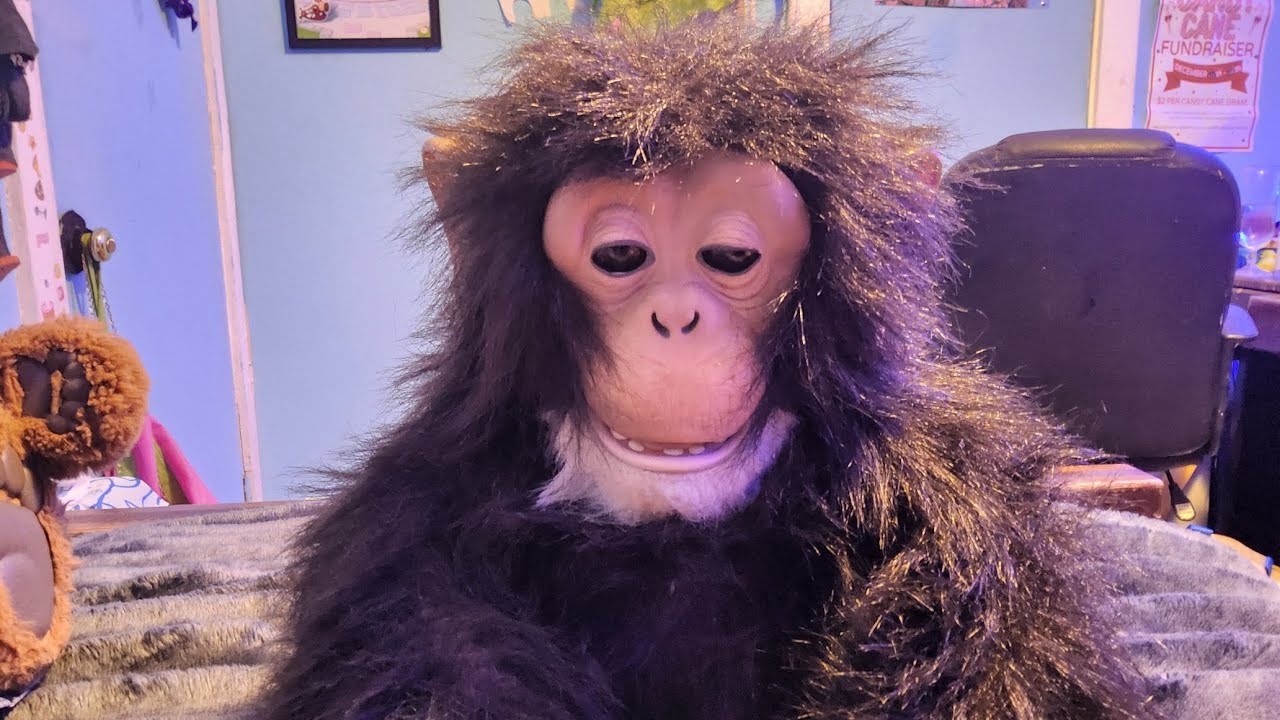 Hasbro Furr Real Friends Cuddle Chimp Interactive Monkey