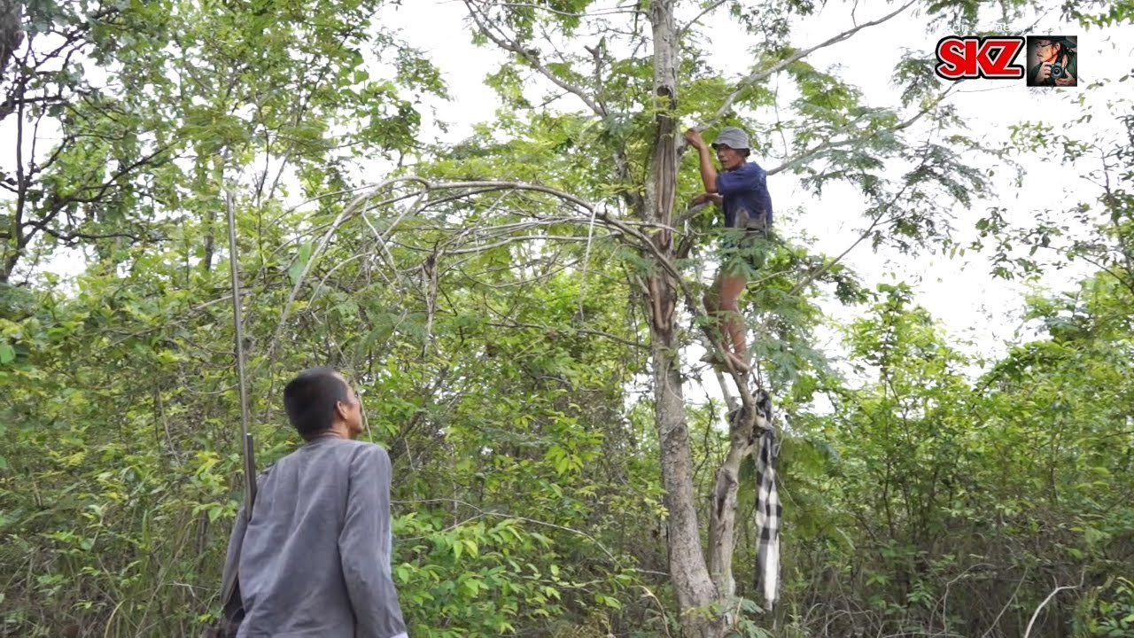 นิทานก้อม พ่อเฒ่ากับลูกเขย ตอน โสติงๆ