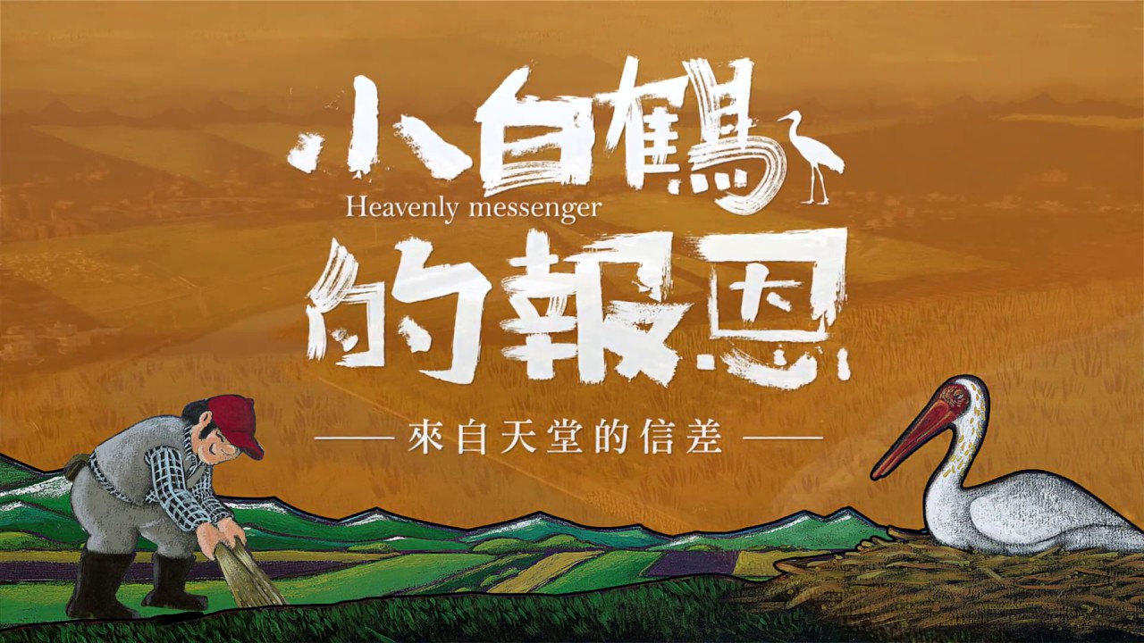滾動力供稿精選：小白鶴的報恩 中文字幕完整版