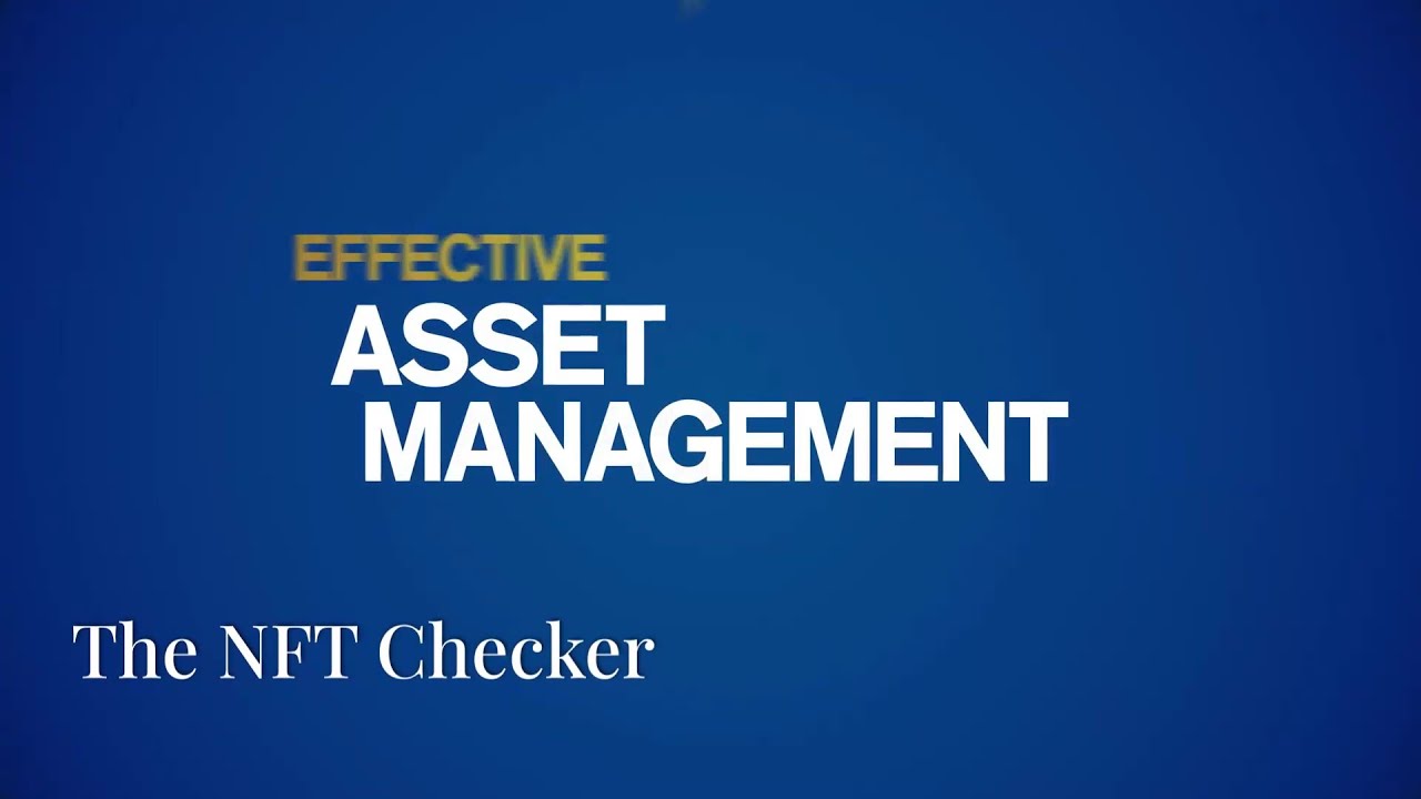 Chapter #5 ~ Instant Verification: The NFT & Assets Checker