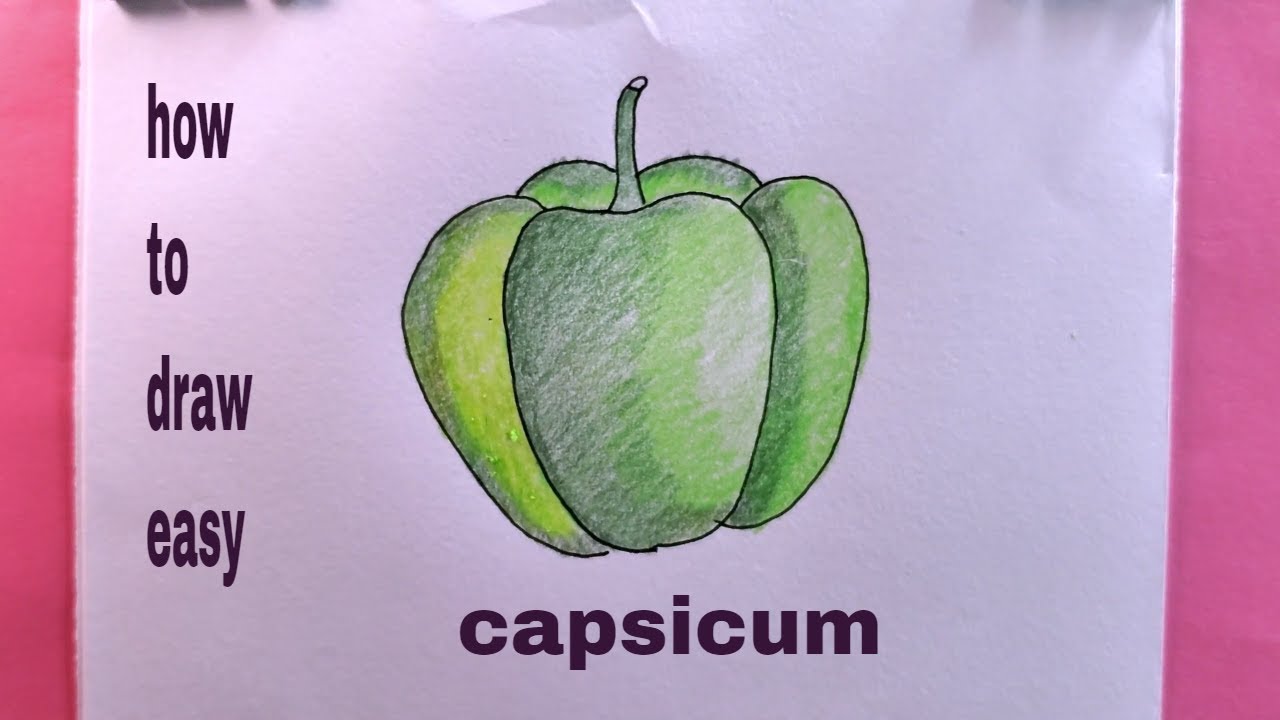 How To Draw a Capsicum With Color/Capsicum Drawing