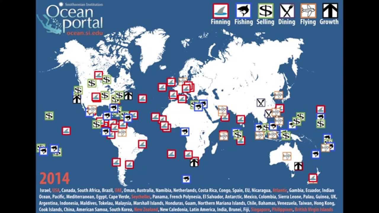 Map of Shark Protection Through Time