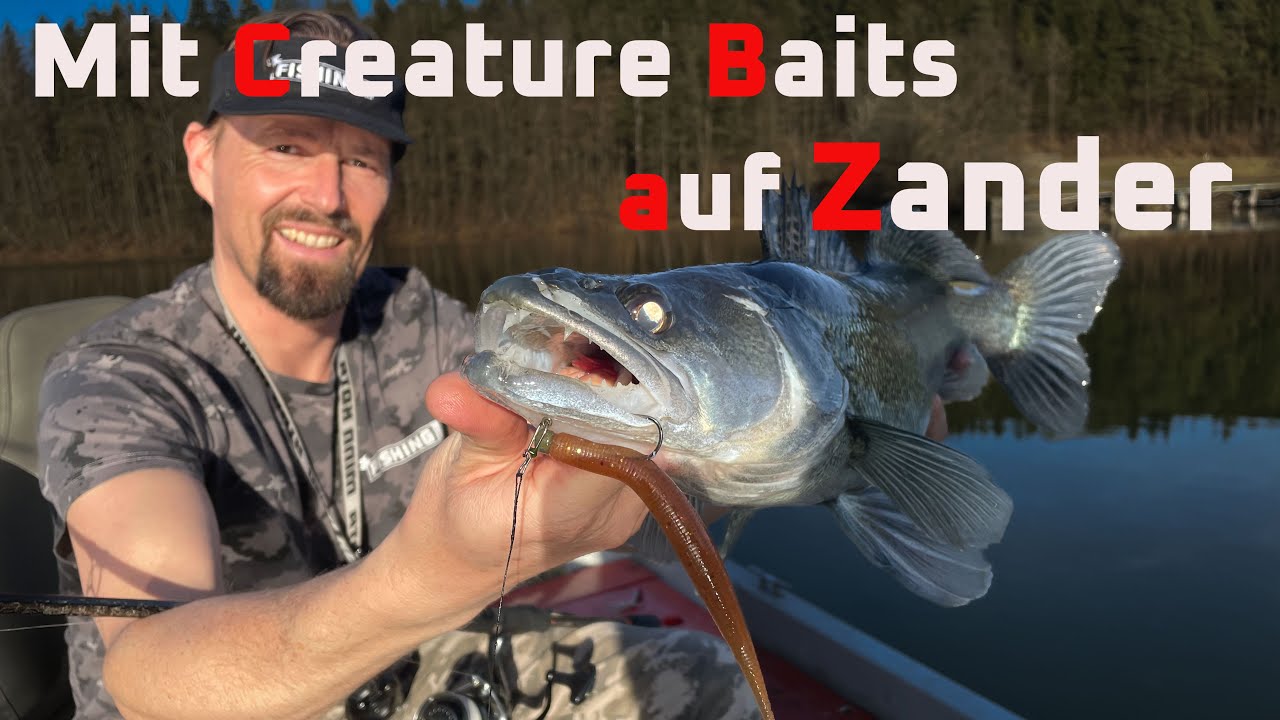 Richtig auf Zander angeln mit Creature Bait FPS - Fishingprofi