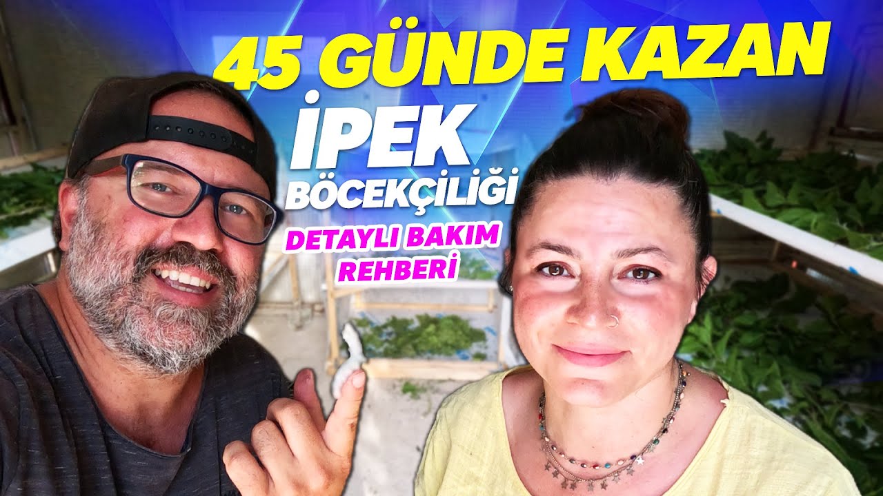 İPEK BÖCEĞİ BAKIMI - İpek Böceği Ne Yer? (Köyde Yaşam, Kazanç)