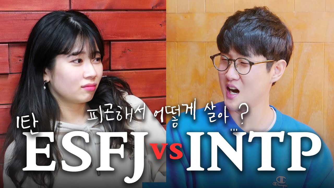 INTP vs ESFJ 성격 진짜 안맞는 MBTI 극과극 ㅋㅋㅋㅋ