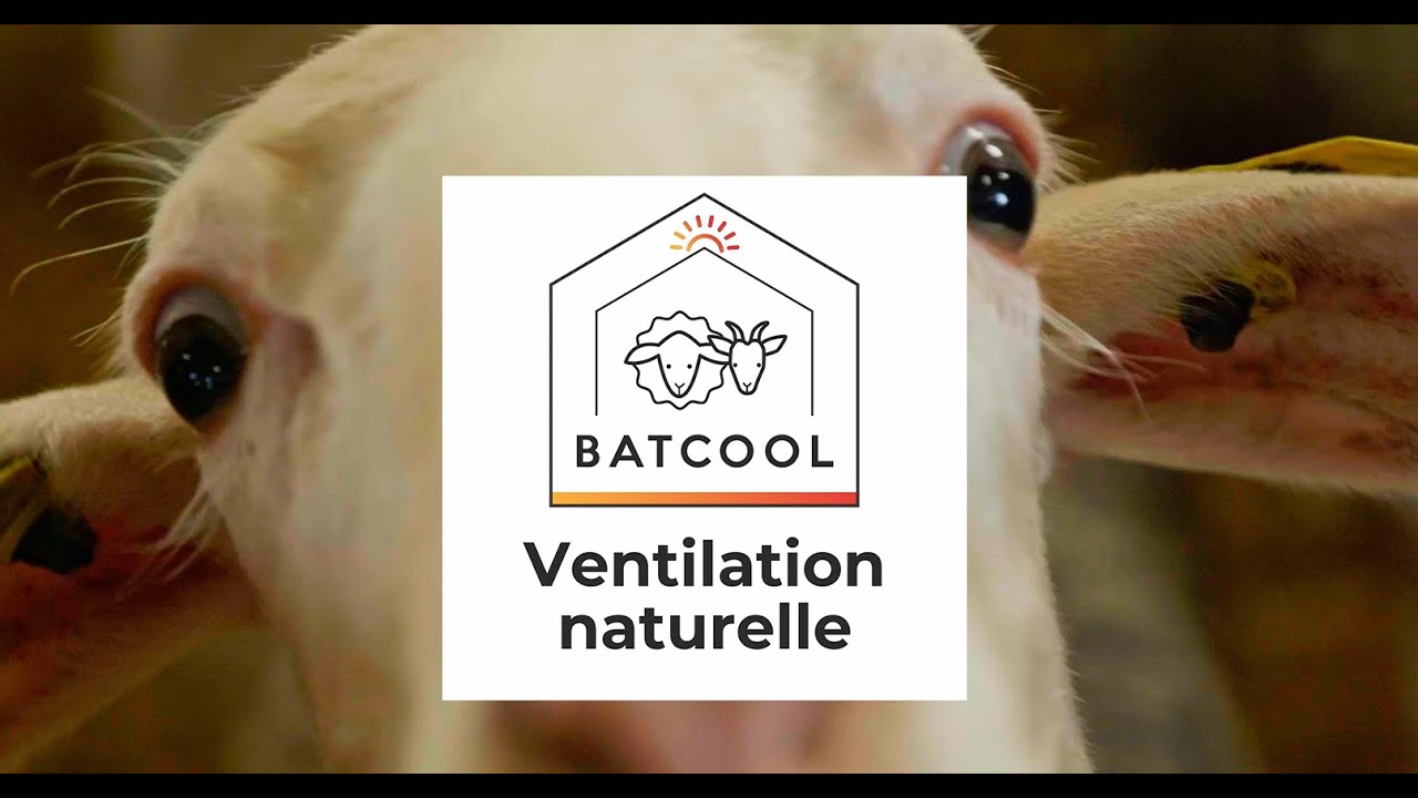 VENTILATION NATURELLE - Comment améliorer le confort thermique des bâtiments en période estivale ?