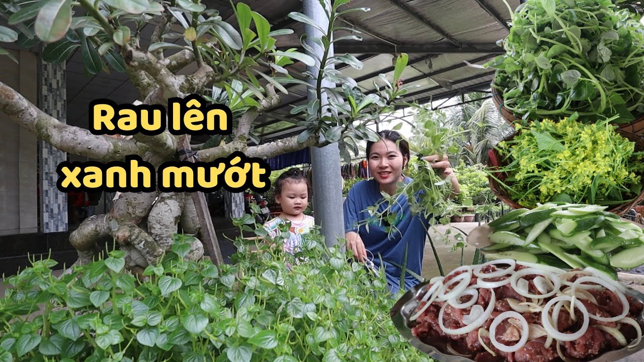 Bò Né 3 Món. Lần Đầu Q Hái Bông Cải Bẹ Xanh Xào Ăn mà đắng lạ lắm