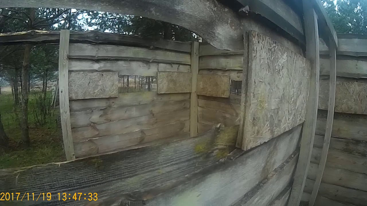 Dažasvydis Pamarazuose (VilniusPaintballClub) 2017.11