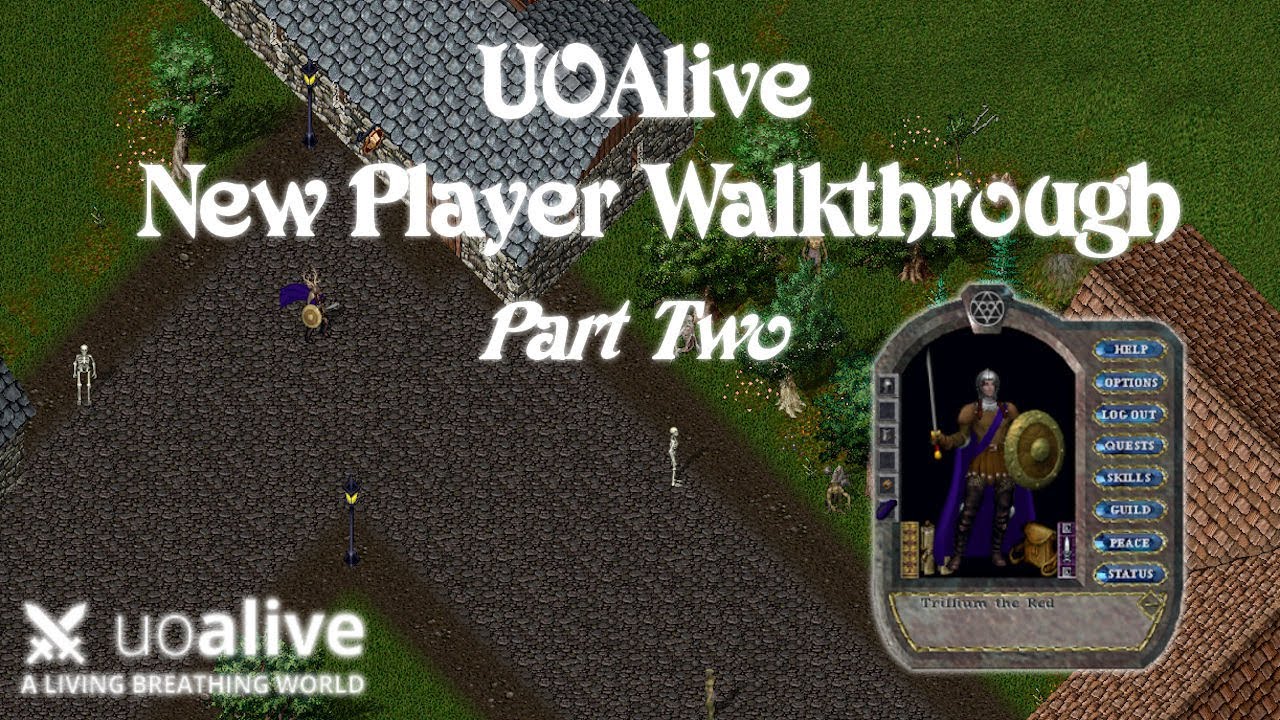 Руководство для новых игроков UO Alive — Часть вторая