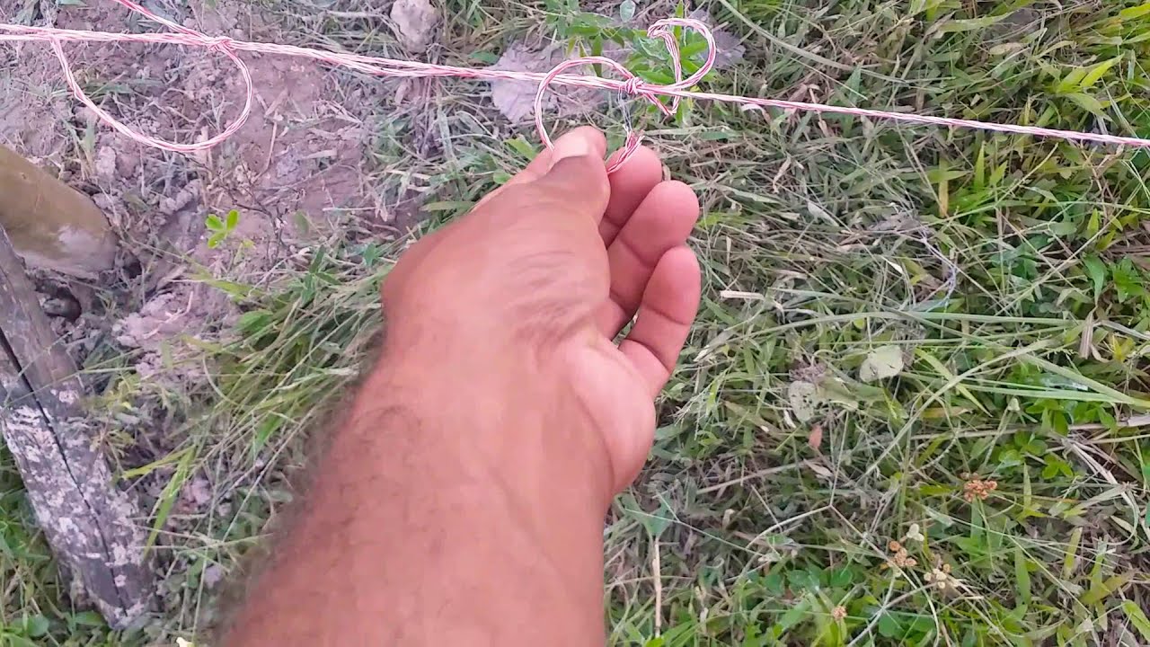 Cerca elétrica com Fio Eletroplastico