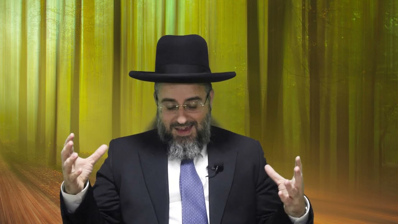 פרשת ויגש התשפ