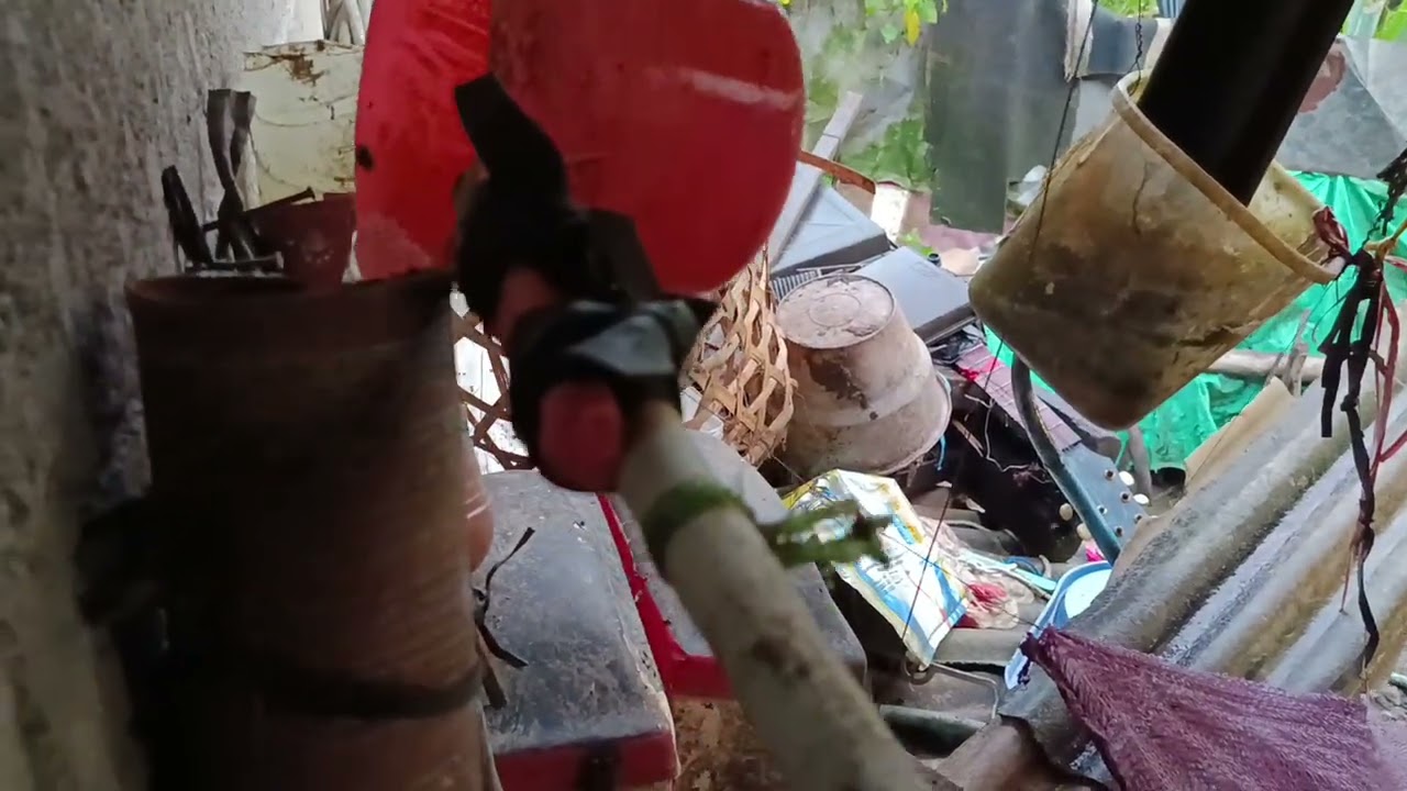 Cara memberikan entok makanan di pagi hari