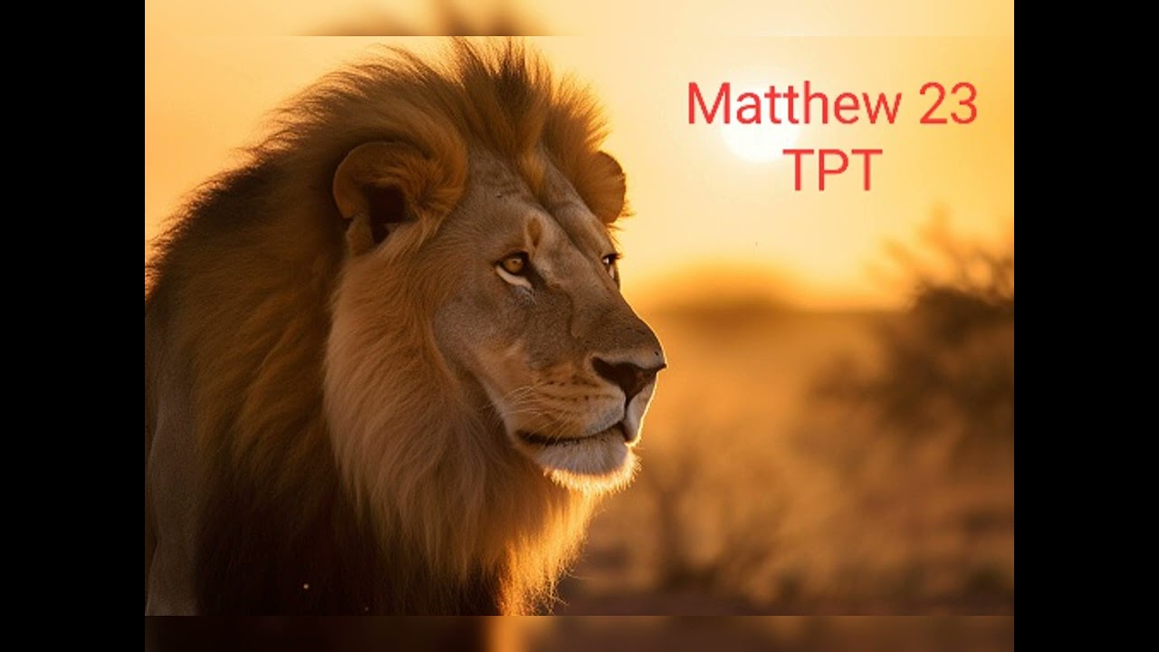 Matthew 23 The Passion Translation TPT Audio Bible