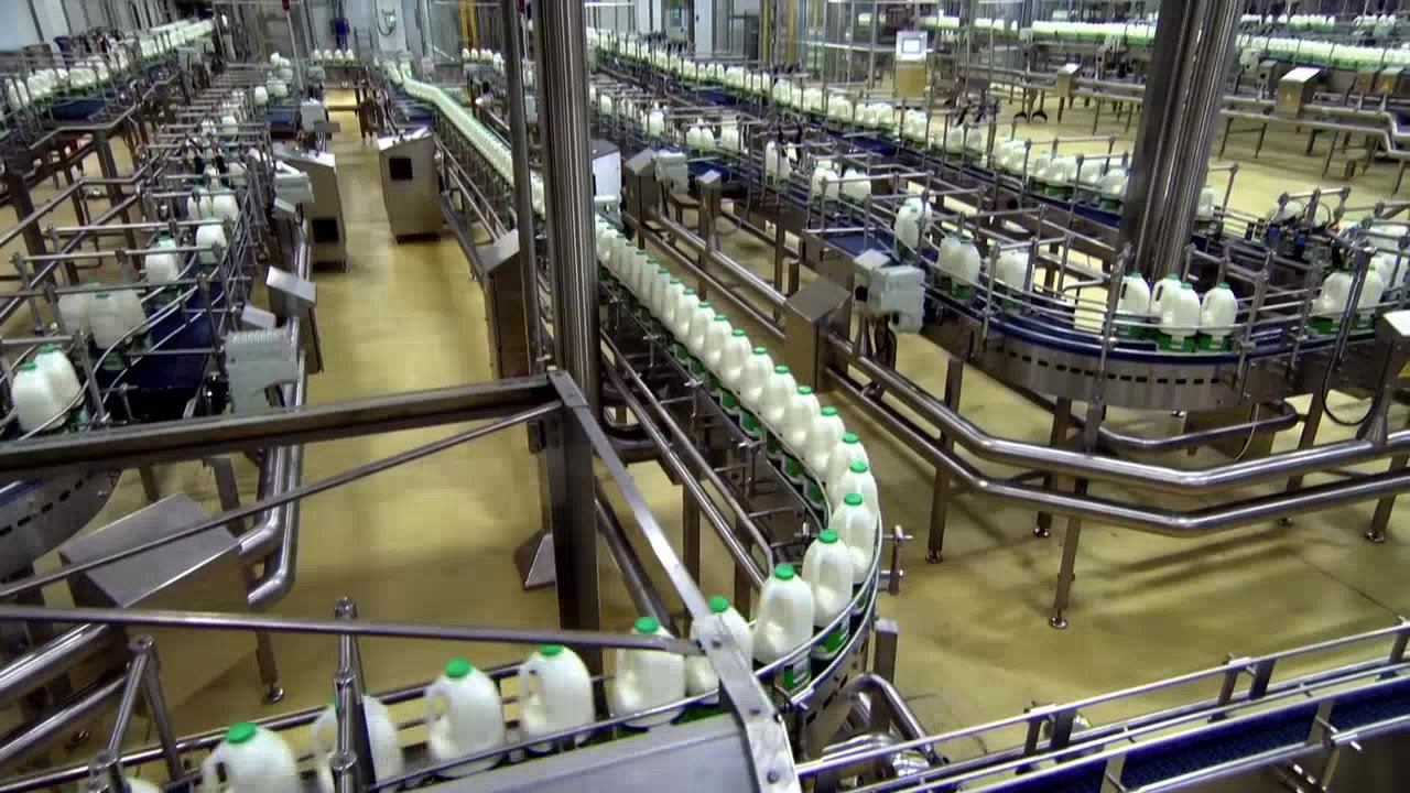 Inside The Factory How Our Favourite Foods Are Made 3of3 Milk