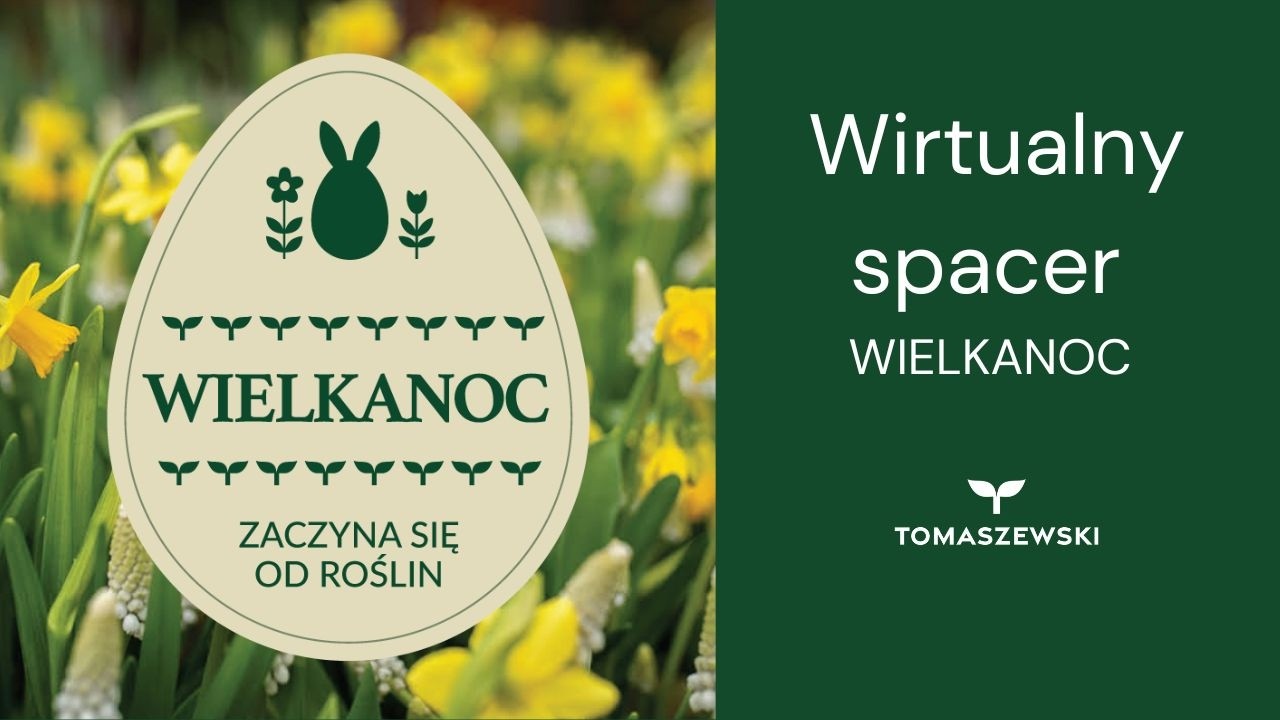 Wirtualny spacer w sklepie Tomaszewski Wielkanoc 2026