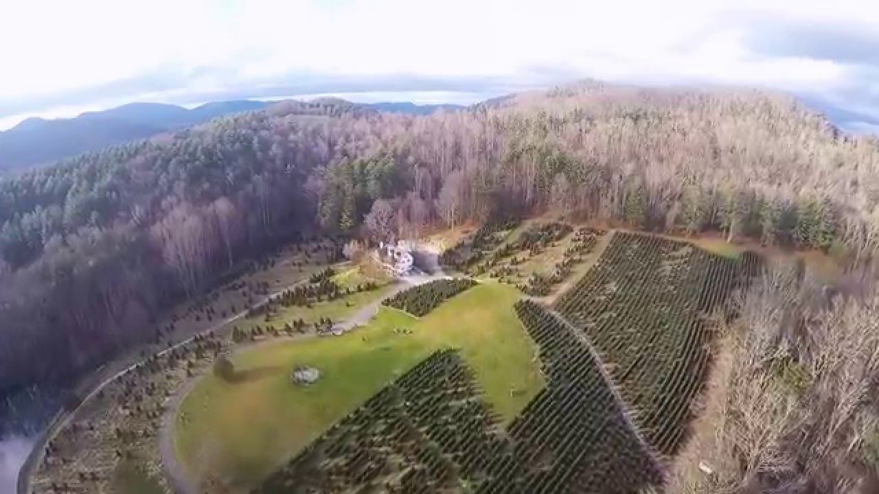 Tom Sawyer Christmas Tree Farm and Elf Village