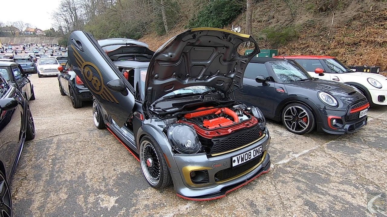 Brooklands Mini Day 2022 - The Modern Minis