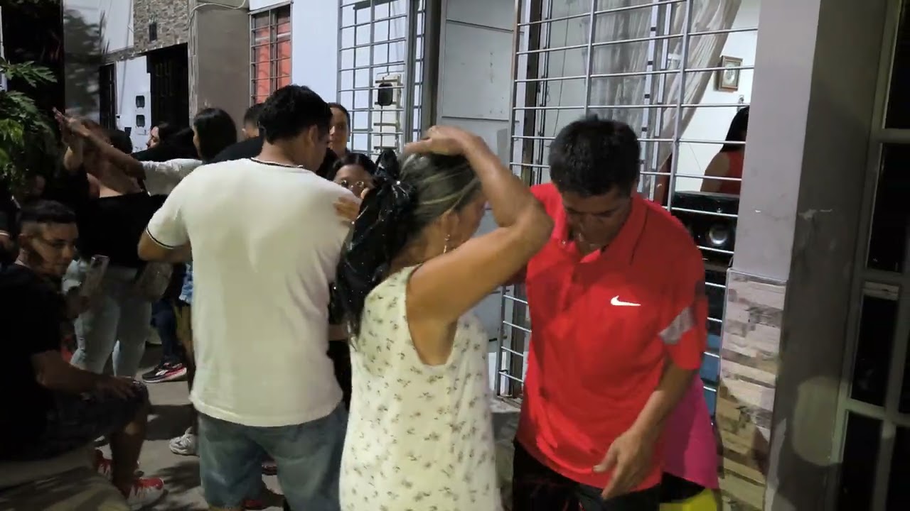Estrellita Errante Gino