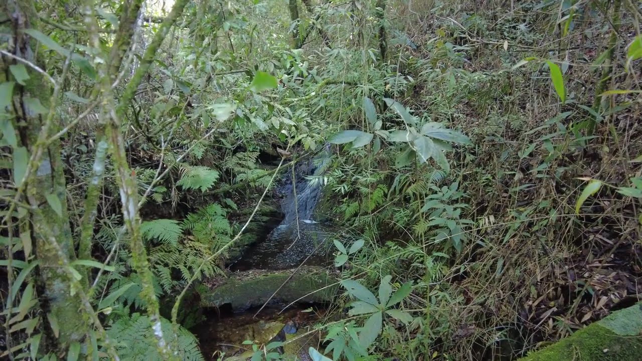 🇧🇷 São Thomé das Letras: A rustic Farm with Backyard Private Waterfal, Minas Gerais, Brasil (4K)