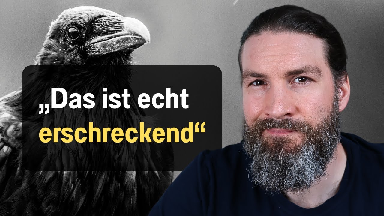 Krafttier Rabe: Aktuelle Botschaft und Weisheit