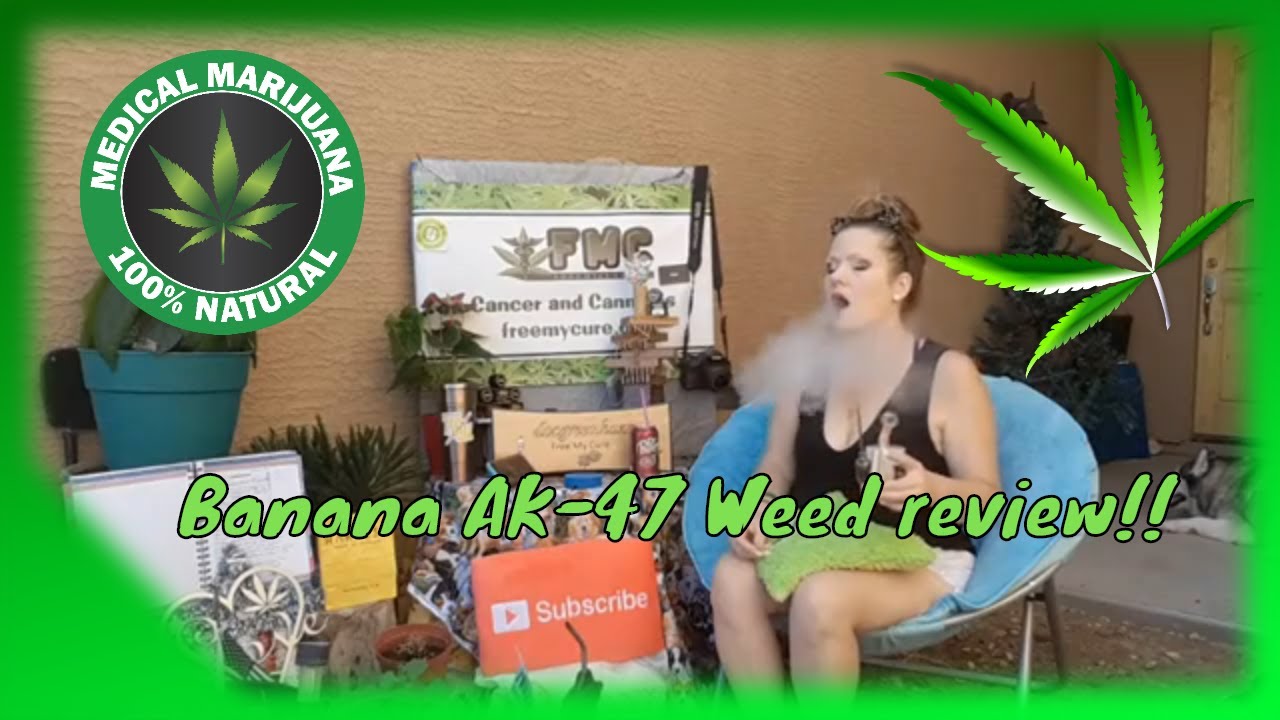 Banana AK-47 Weed Review @Dripoils And @Harvest Dispensary