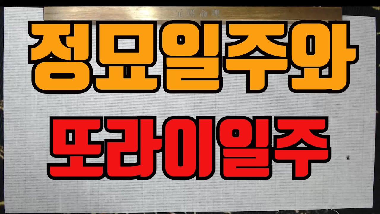 일주론정묘와또라이일주7개모음-누구나 또라이가 될수있다면 난 또라이가 되지않겠다