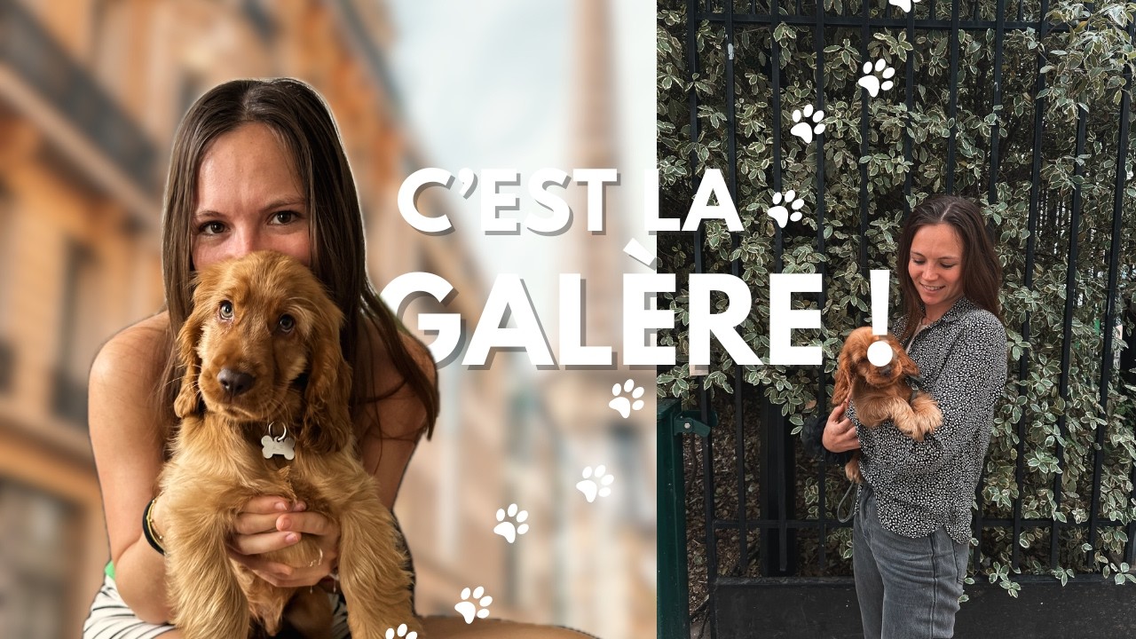 J'adopte un CHIOT : mes premières semaines avec Alpi